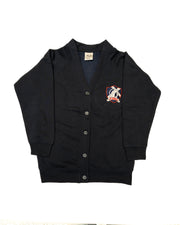 St Mary & St Andrew Cardigan