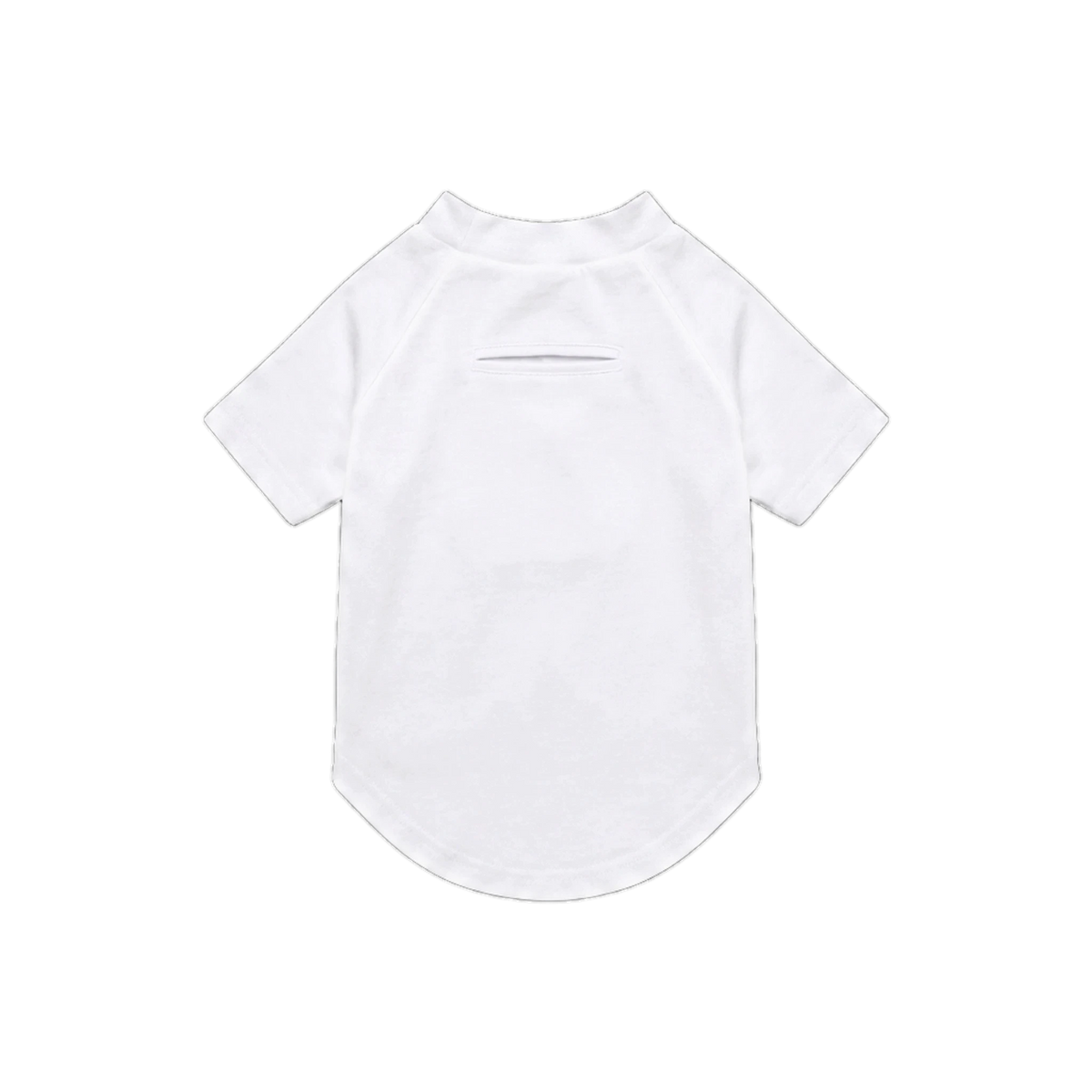 Dog’s raglan t-shirt
